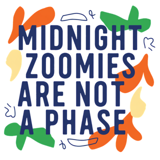 midnight zoomies are not a phase — art by Bazzai Studio